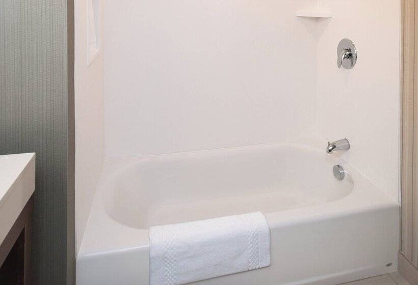 Люкс, Courtyard By Marriott Detroit Farmington