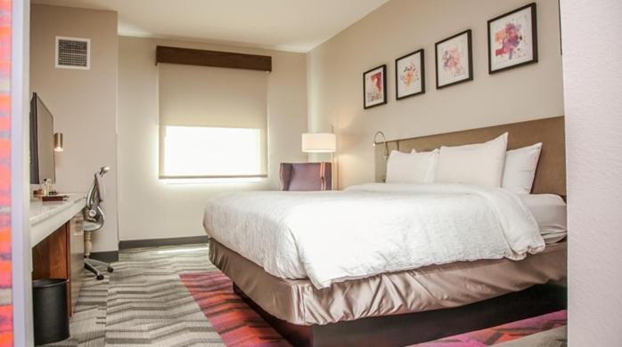 스탠다드 룸 킹사이즈 침대, Hilton Garden Inn Tampa Suncoast Parkway