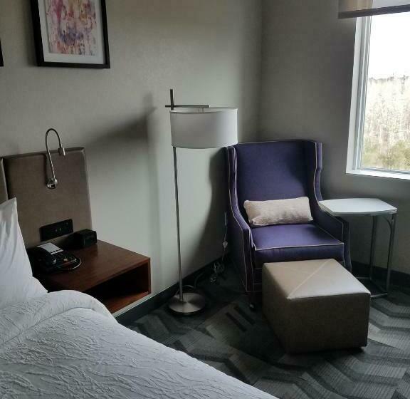 스탠다드 룸 킹사이즈 침대, Hilton Garden Inn Tampa Suncoast Parkway