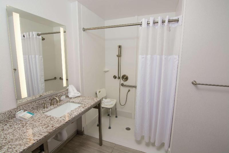 주니어 스위트 킹사이즈 침대, Hilton Garden Inn Tampa Suncoast Parkway