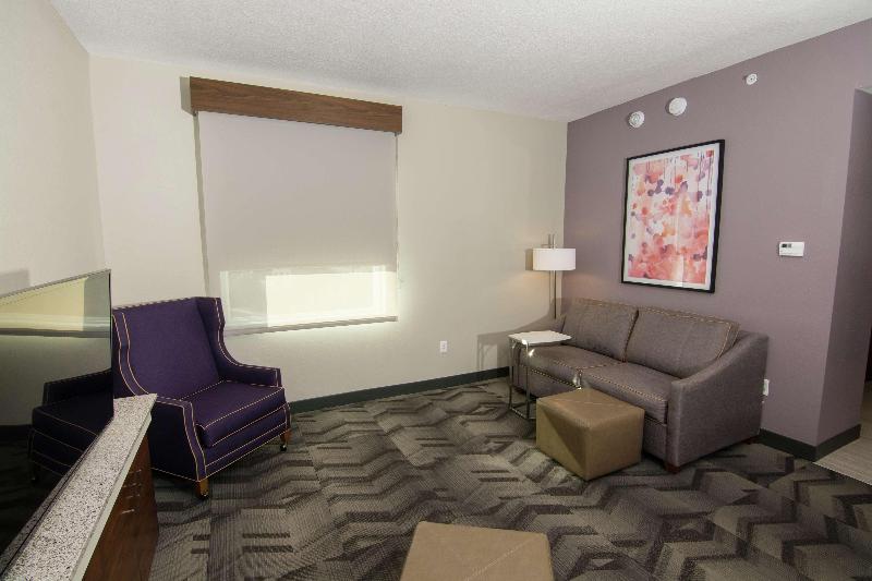 스위트 킹사이즈 침대, Hilton Garden Inn Tampa Suncoast Parkway