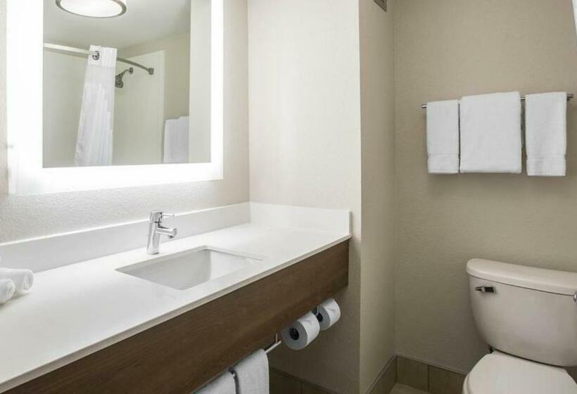 Номер Стандарт, Holiday Inn Express & Suites   Jacksonville W   I295 And I10, An Ihg