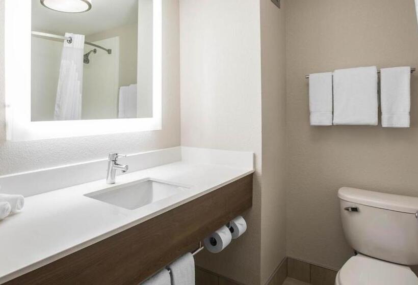 Номер Deluxe Кровать Кинг, Holiday Inn Express & Suites   Jacksonville W   I295 And I10, An Ihg