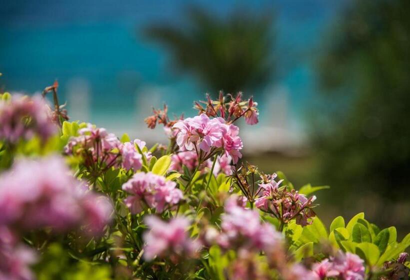침실 1개 아파트, Krouzeri Beach Apartments