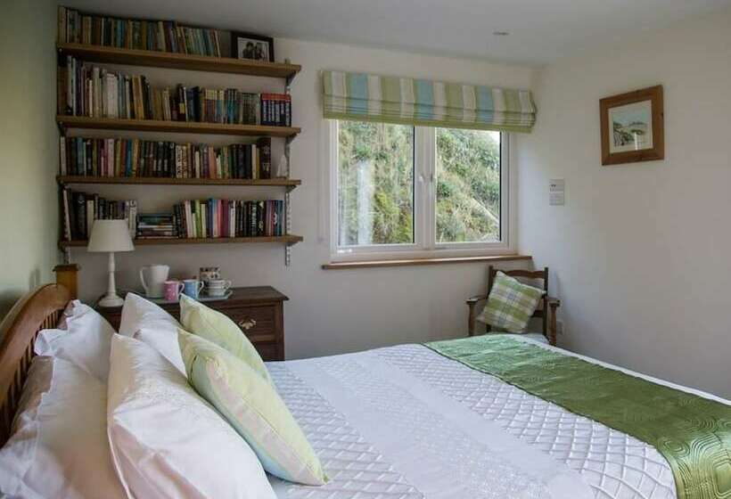 Номер Премиум, Holywell Bay B&b