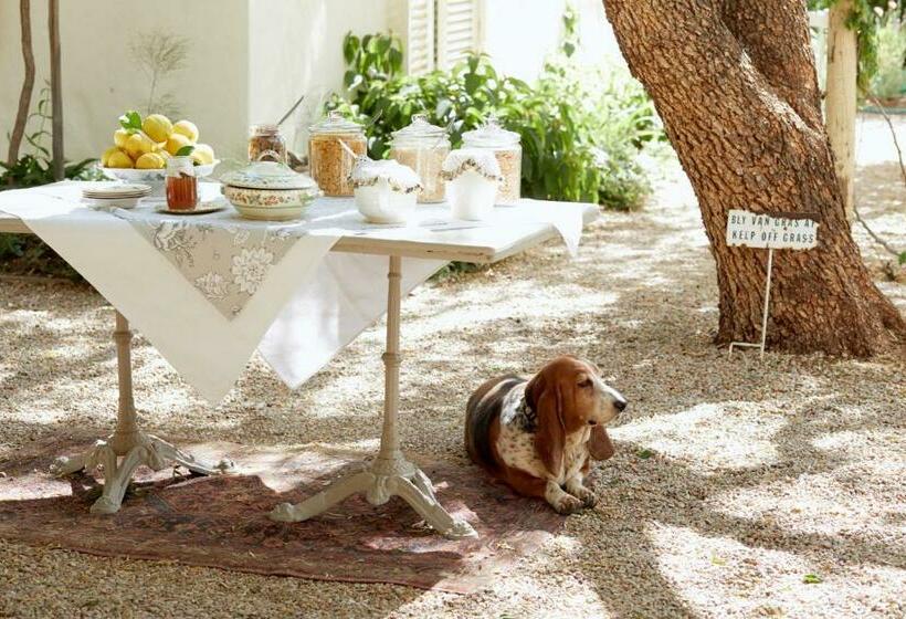 Люкс, Prince Albert Country Stay