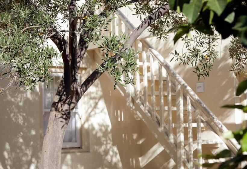 Номер Стандарт, Prince Albert Country Stay