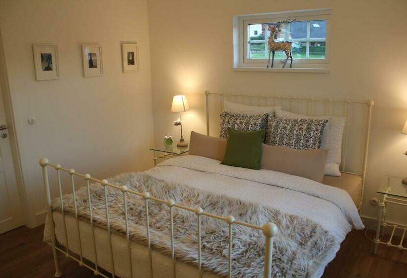 Номер Стандарт, Rosenhill B&b