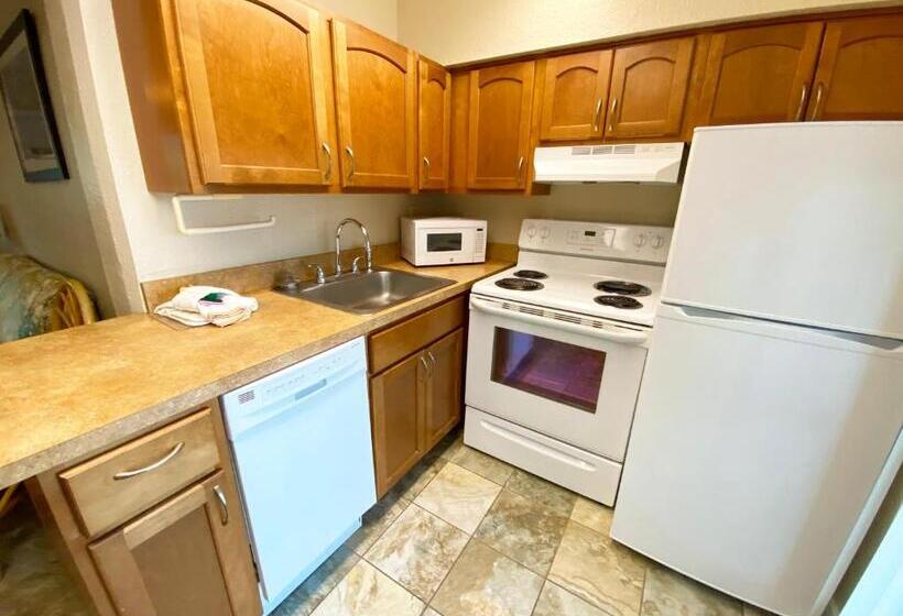 إستوديو ديلوكس, Nautical Watch