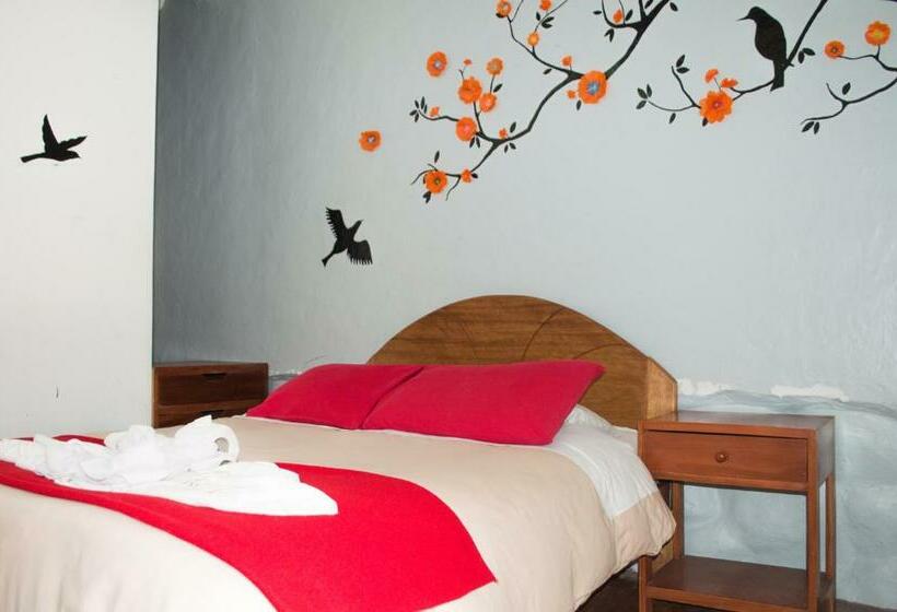 חדר סטנדרט, Pirwa Backpackers Colonial