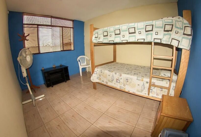 Кровать в Общей Комнате, Bravo Surf Camp