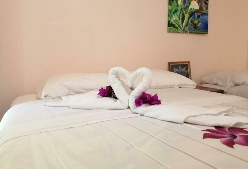 اتاق استاندارد با چشم‌انداز باغ, Monte Los Lirios Lodge