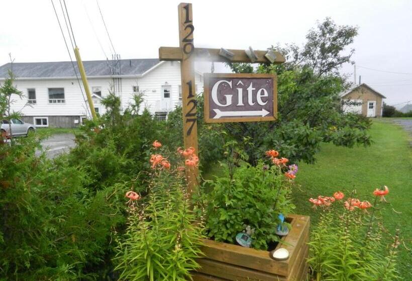 Апартаменты 1 Спальня, Gite La Ptite Falaise Hébergement Touristique