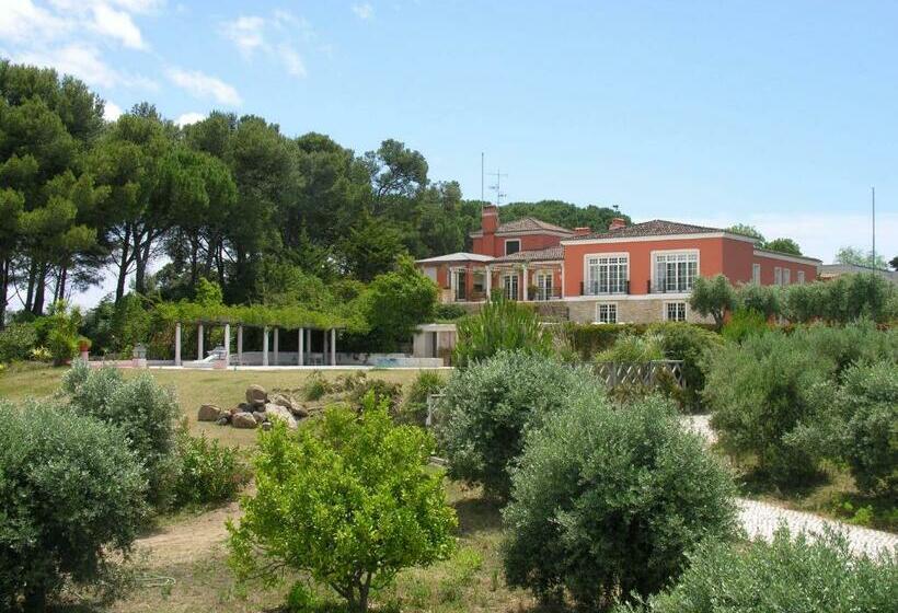 Люкс Дюплекс, Quinta Tagus