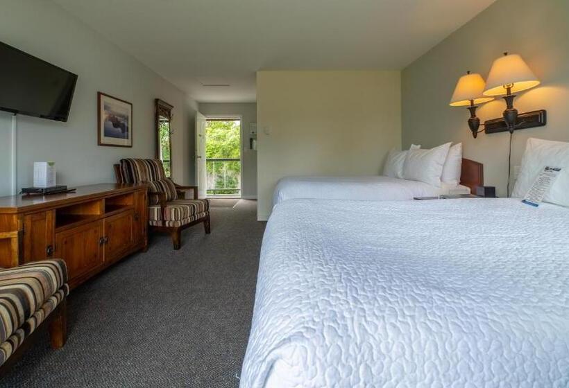 اتاق استاندارد برای معلولان, Tofino Motel Harborview