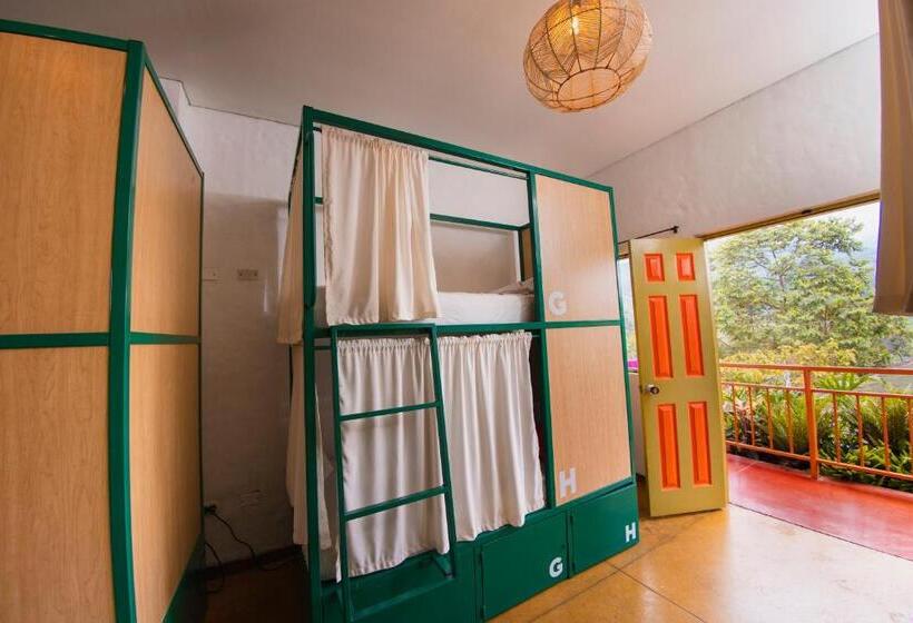Habitación Familiar, Viajero Salento Hostel
