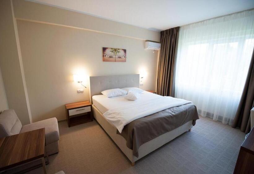 스탠다드 룸, Bruxelles Guesthouse Craiova