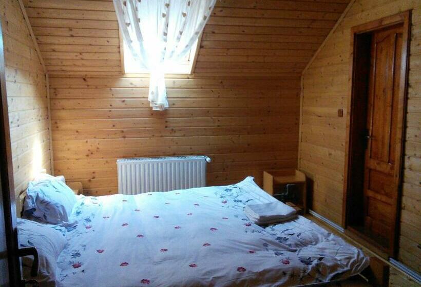 스탠다드 룸, Pensiunea Moldovan