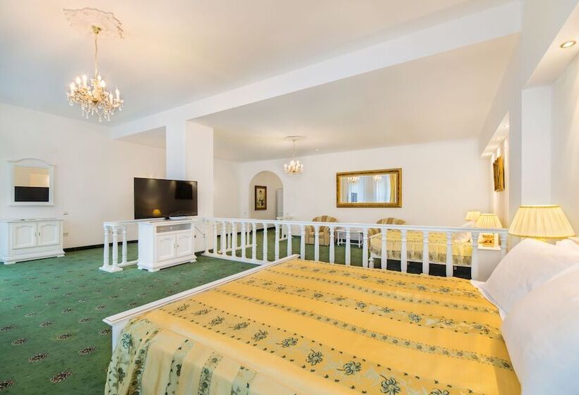 اتاق اجرایی, Aurelius Imparatul Romanilor Hotel & Spa