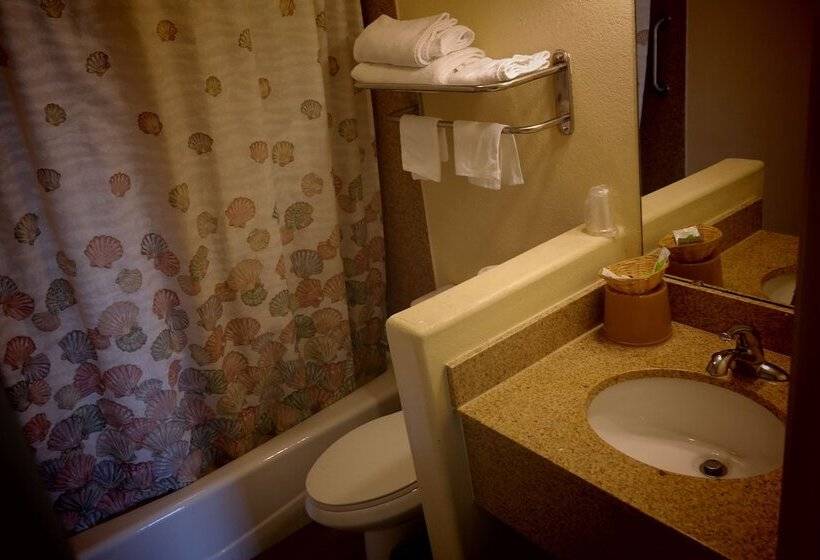 Номер Стандарт, Chandler Inn