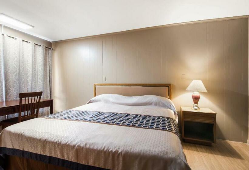חדר סטנדרט עם מיטת קינג, Knights Inn Amsterdam