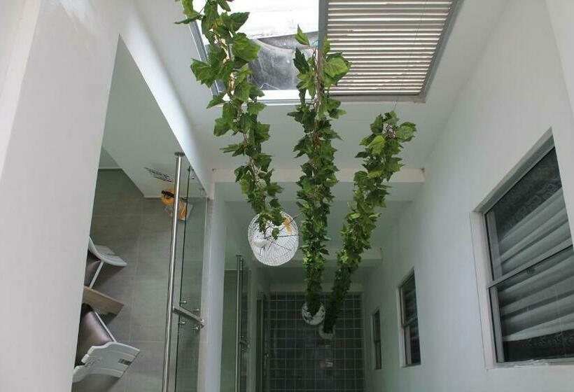 اتاق استاندارد, Guadalupe Plaza