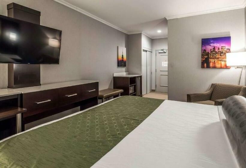 غرفة قياسية سرير كينج, Best Western Premier Nyc Gateway