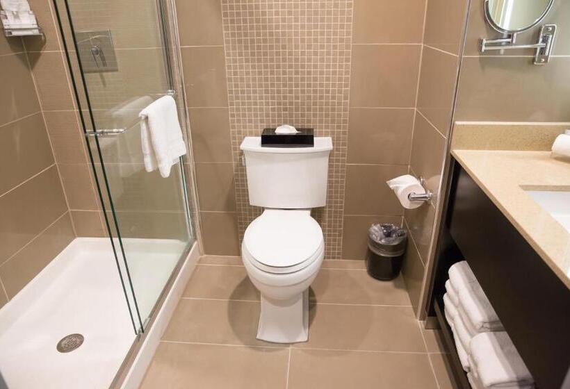 스탠다드 룸 킹사이즈 침대, Best Western Premier Nyc Gateway