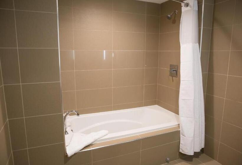 جناح سرير كينج, Best Western Premier Nyc Gateway