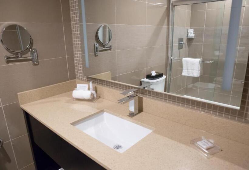이그제큐티브 룸, Best Western Premier Nyc Gateway