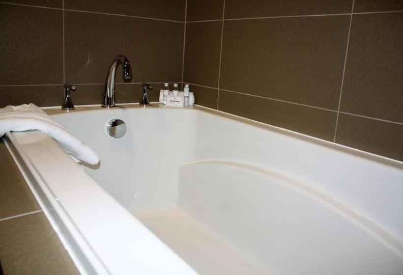 Люкс Кровать Кинг, Best Western Premier Nyc Gateway