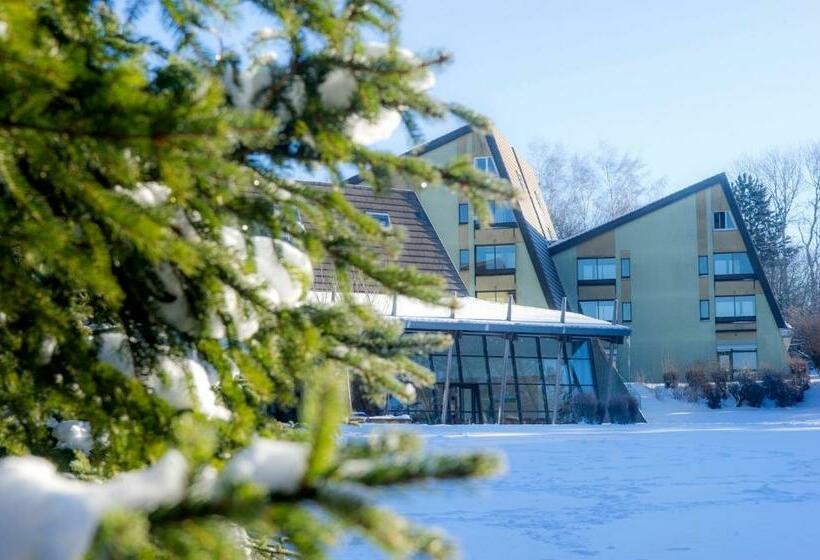 Номер Стандарт, Vtf Le Domaine Des Puys