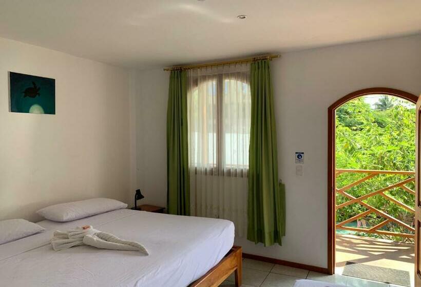 Номер Стандарт Двуспальная Кровать, Hostal White House Galapagos