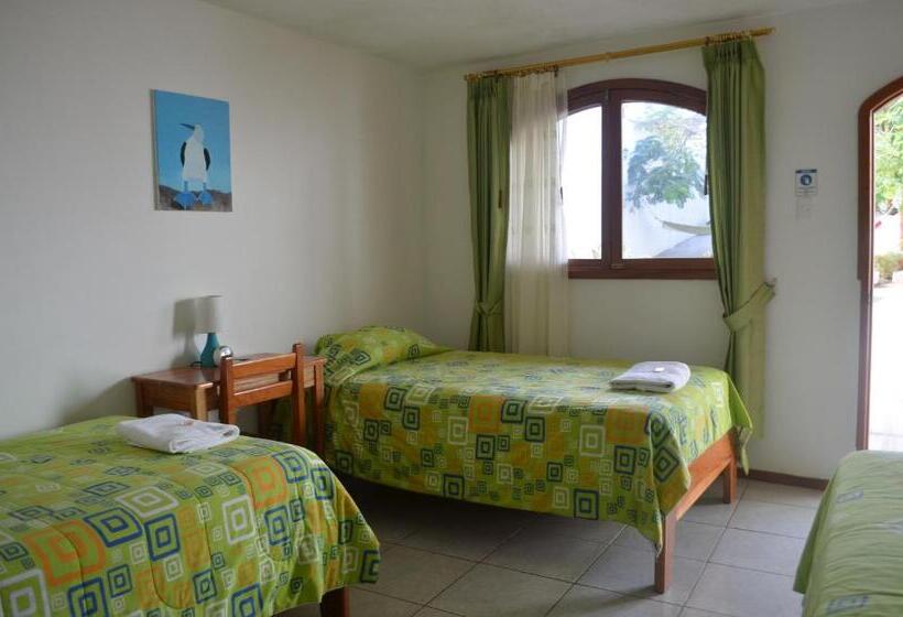Номер Стандарт Трехместный, Hostal White House Galapagos