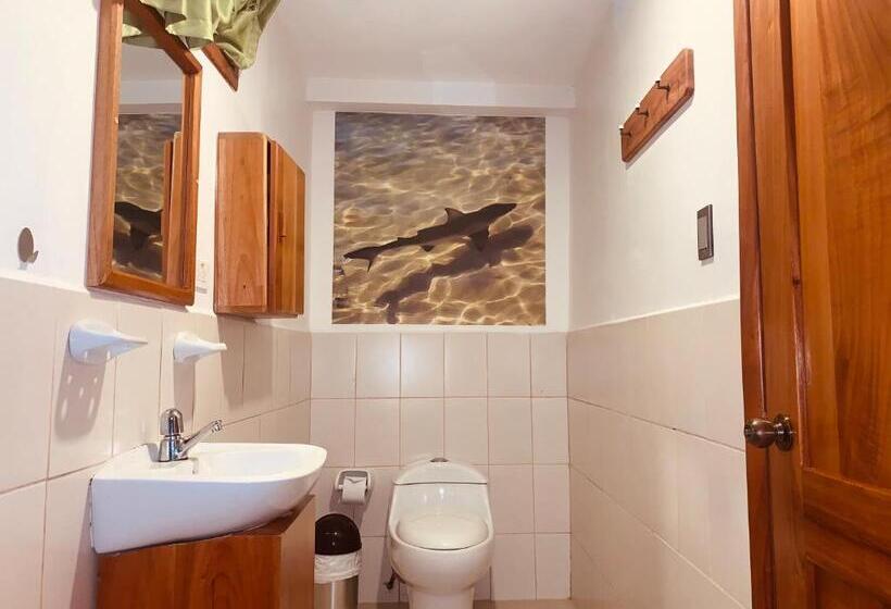 Номер Стандарт, Hostal White House Galapagos