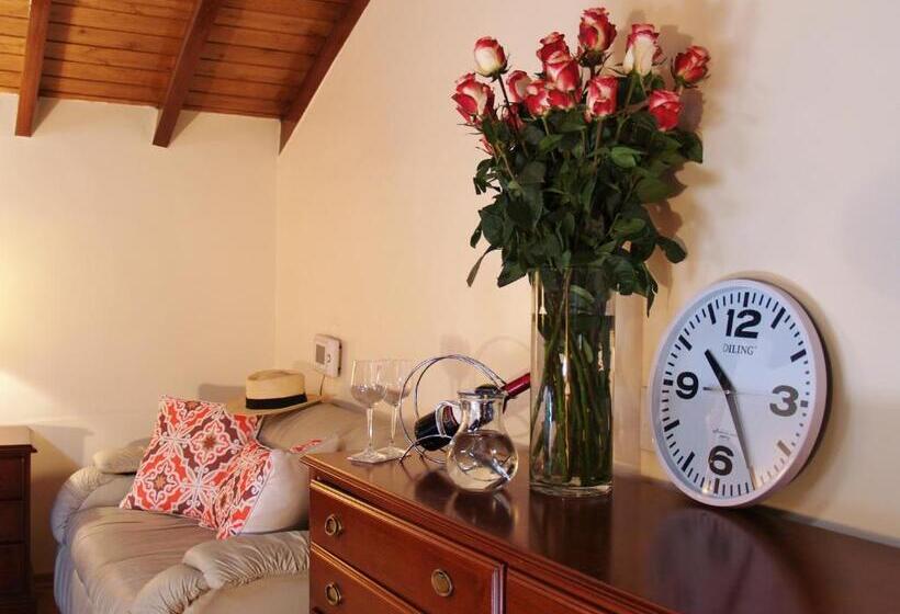 Номер Стандарт, Rincon Familiar Hostel Boutique