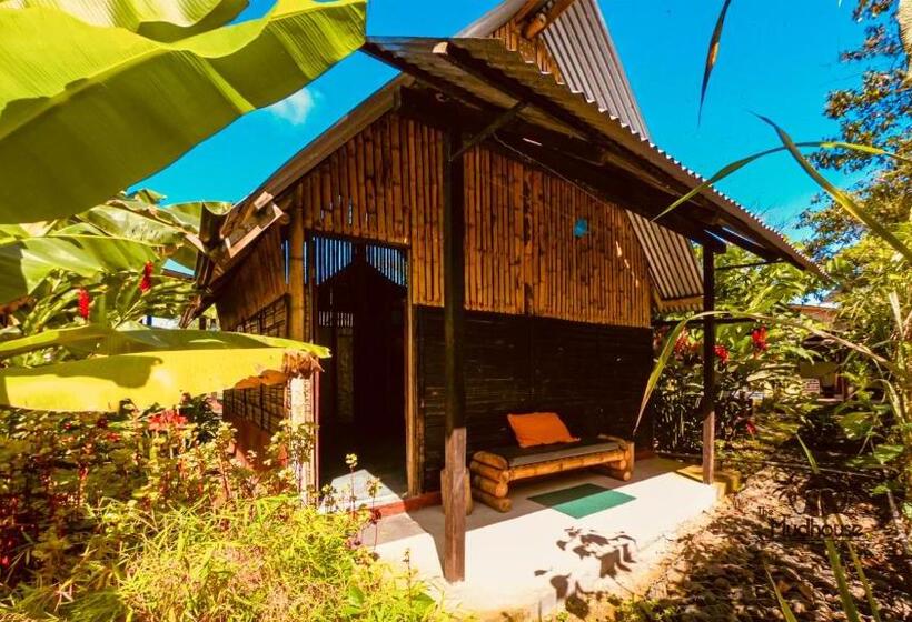 Четырехместный Номер Стандарт, The Mudhouse Hostel Mompiche