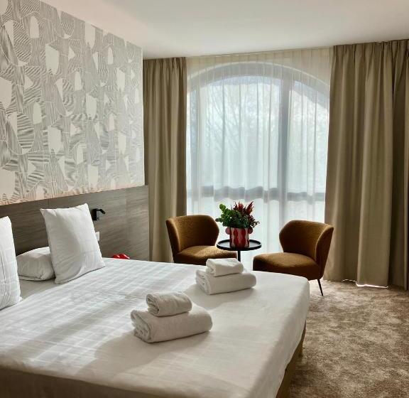 Номер Стандарт Адаптированный для Инвалидов, Dali Hôtel Montauban