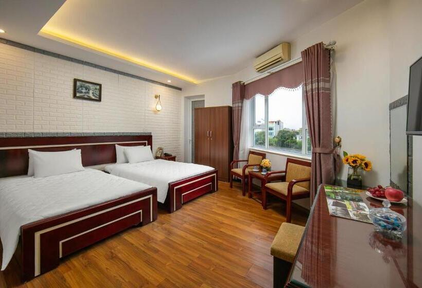 سوییت با چشم‌انداز کوه, New Airport Hotels