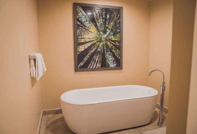 スイート, Tailwater Lodge Altmar, Tapestry Collection By Hilton