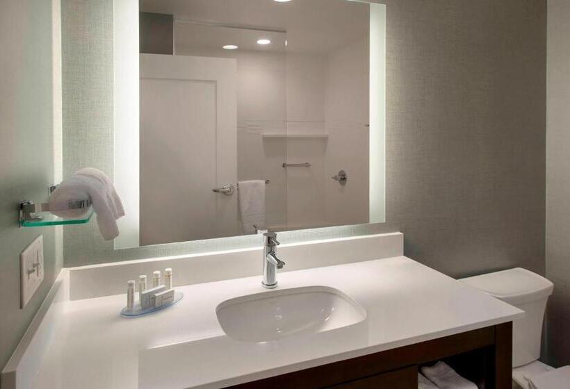 Студио Стандарт Кровать Кинг, Residence Inn By Marriott Boston Bridgewater