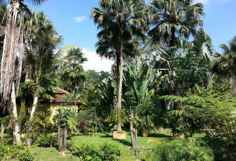 Номер Economy, Seri Pengantin Resort