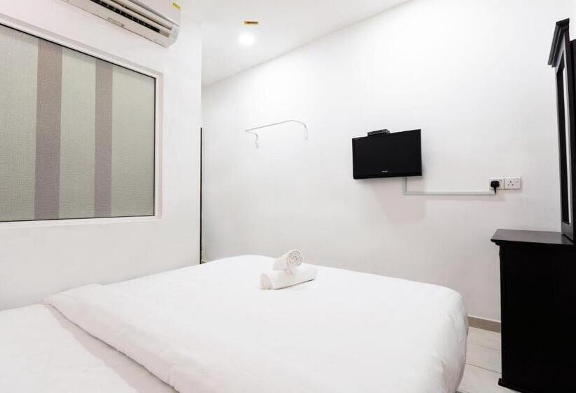 Quarto standard, Ant