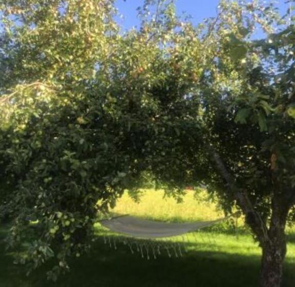 Номер Стандарт, Annas B&b