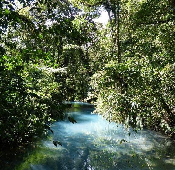 标准间, Cabinas Río Frío