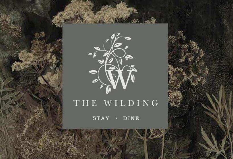 Номер Стандарт, Wilding