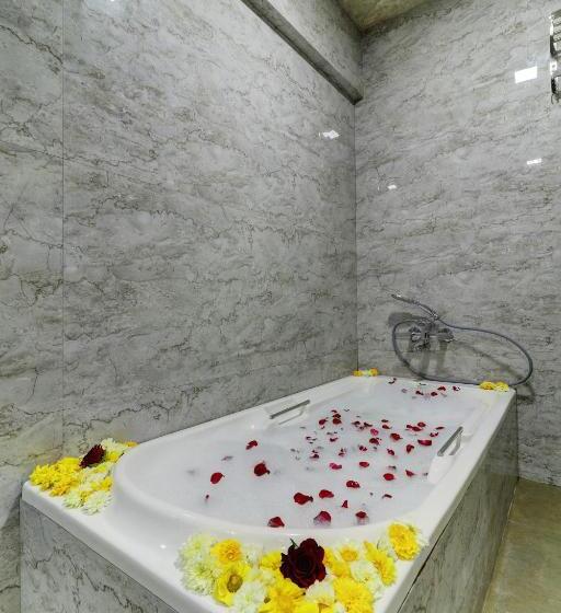 Люкс, Shree Residency Lodging & Boarding