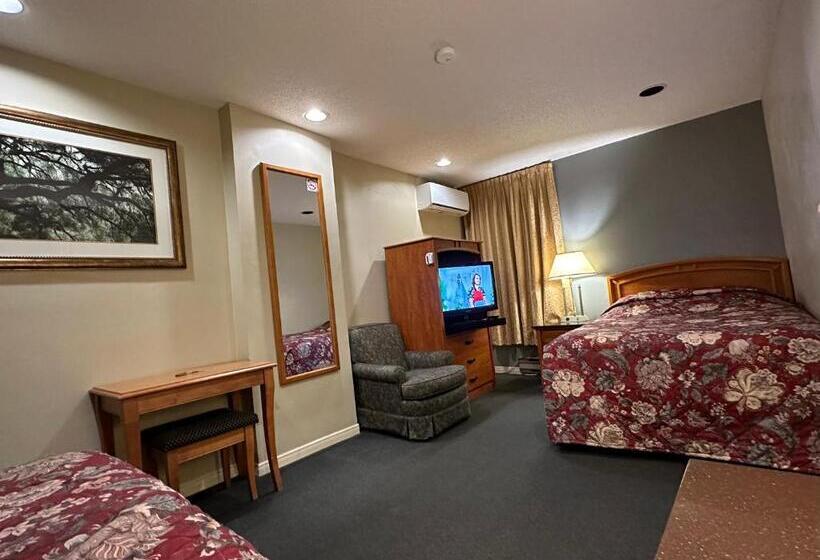 バスルーム共有のトリプルスタンダード, Nox Hostel