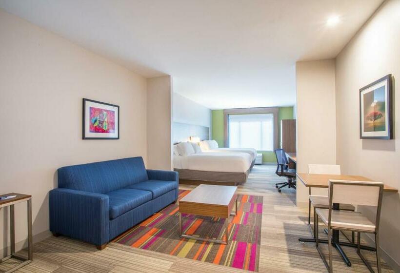 스위트, Holiday Inn Express & Suites Owings Mills Baltimore Area, An Ihg