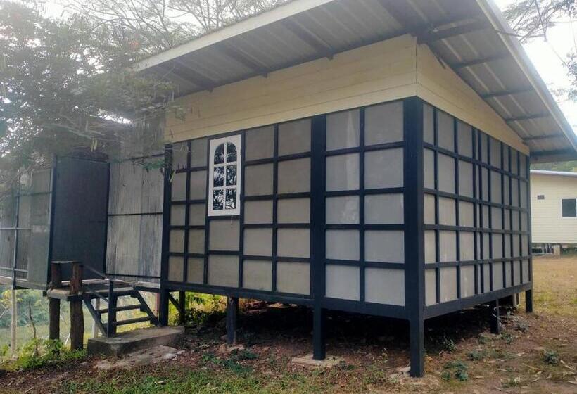 Номер Стандарт с Балконом, Doi Sang Farm Stay   ดอยซางฟาร์มสเตย์